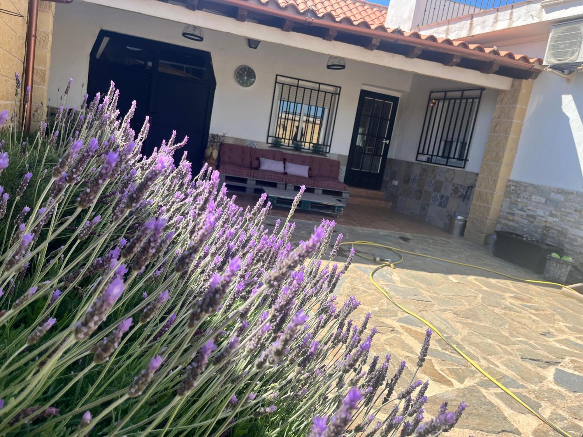 Casa Rural Valentina Almonacid de Toledo Kültér fotó